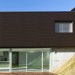 Фасадная панель из ДПК WOODVEX Венге купить в Ревде