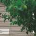 Сайдинг Ю-Пласт TIMBERBLOCK Пихта (Тимберблок) Cахалинская купить в Ревде
