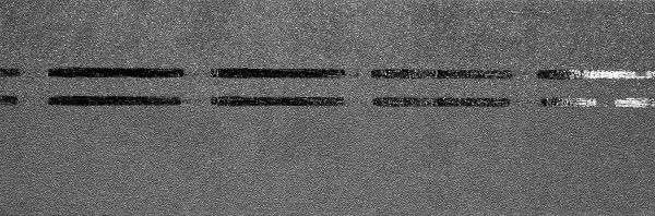 Коньково-карнизная черепица Docke Premium, черника купить в Ревде